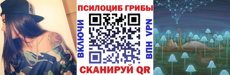 цена   Ханты-Мансийск  Галлюциногенные грибы Cubensis 